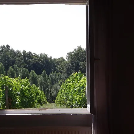 La Petite 3* Comps (Gironde)