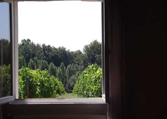 La Petite 3* Comps (Gironde)